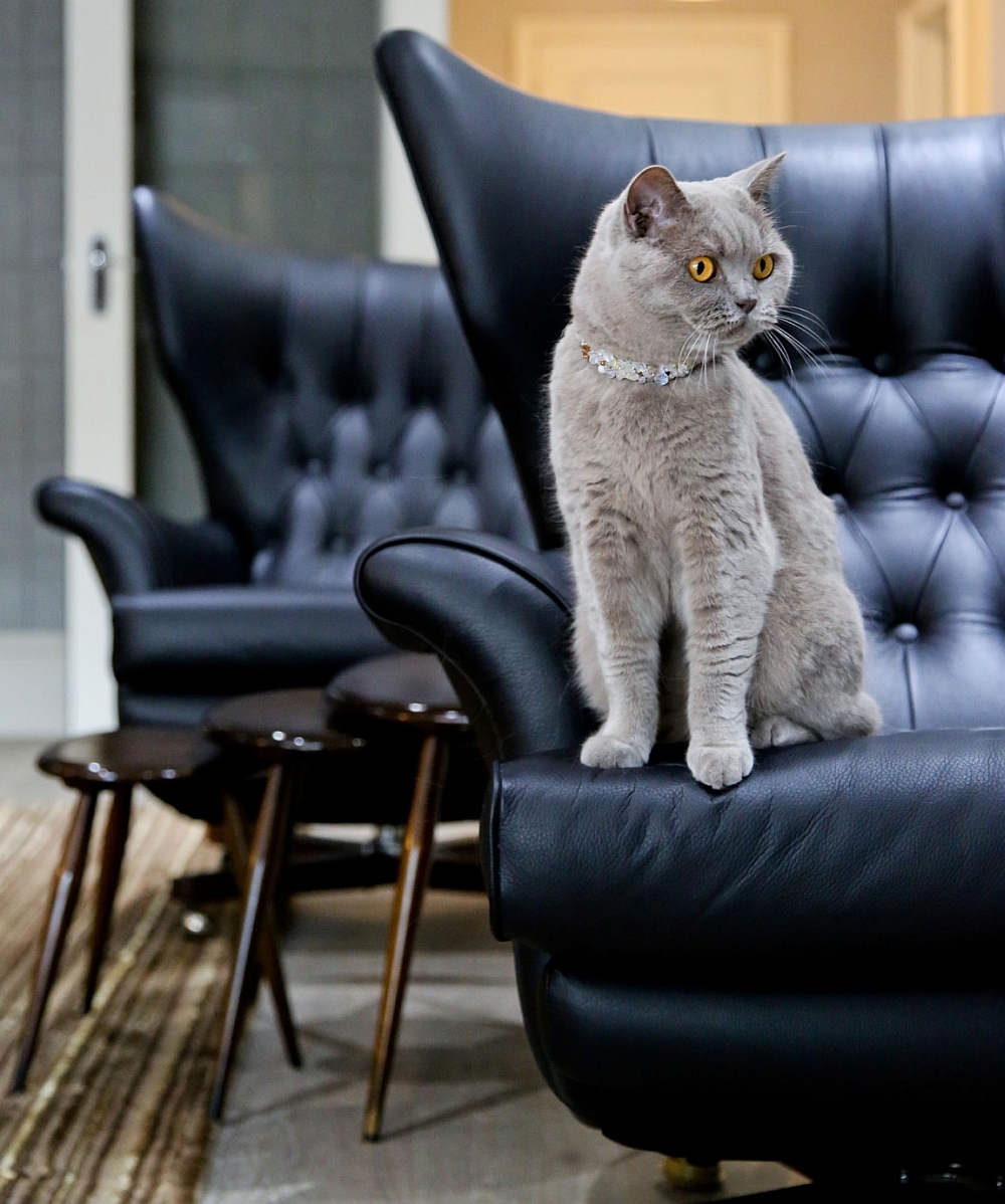 Plush tufted wingback chairs in black add to the sophisticated style