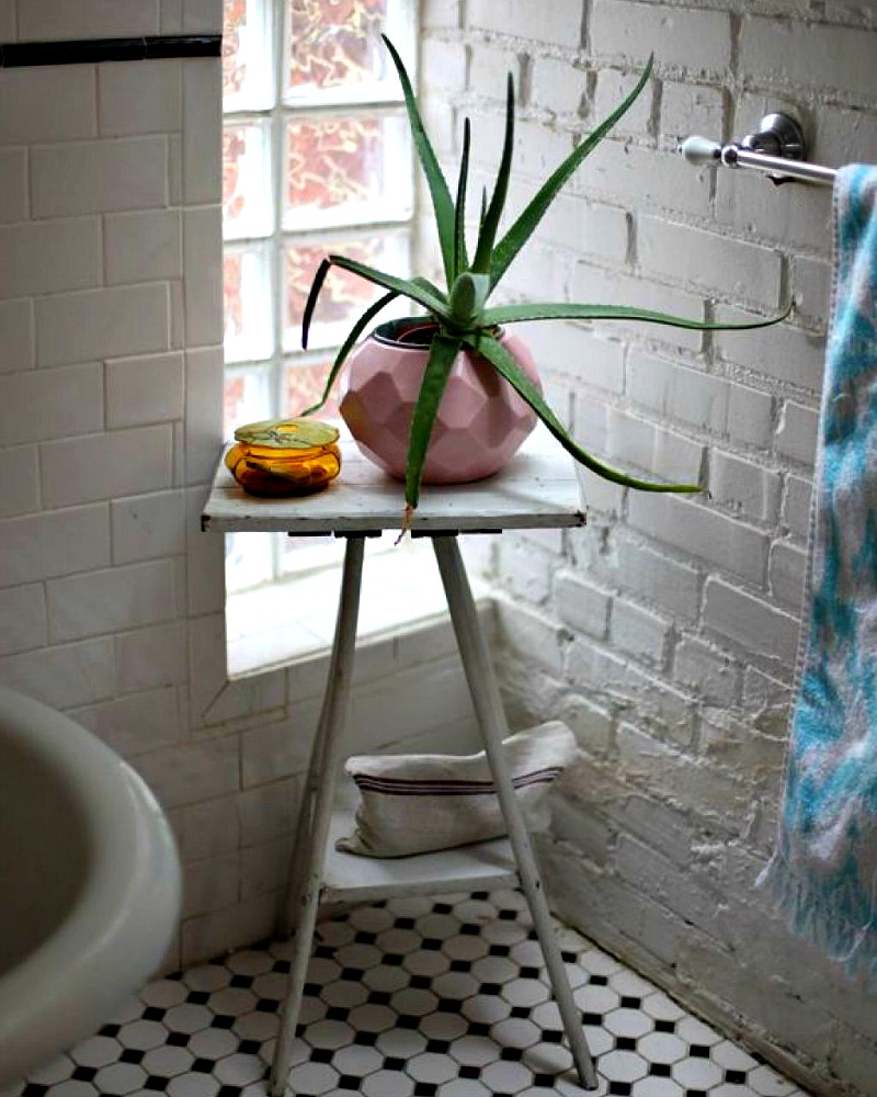 A simple aloe vera plant in an unusual vintage pot makes a statement