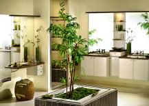 Bamboo-Bathroom-217x155