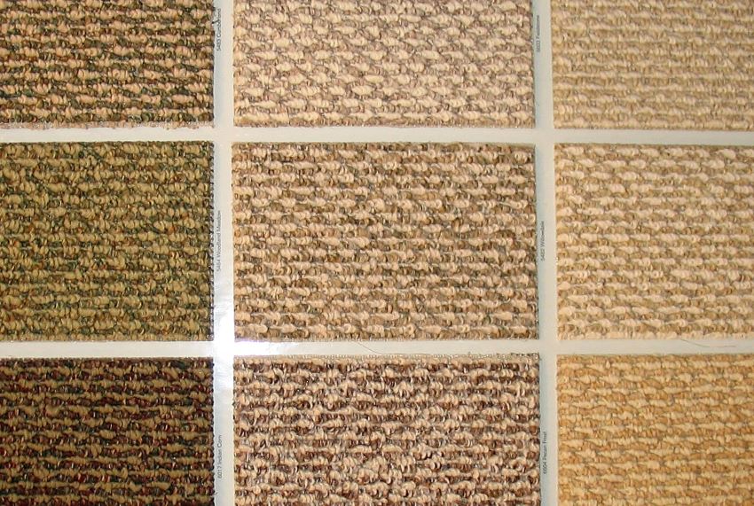 Carpet swatches in neutral tones