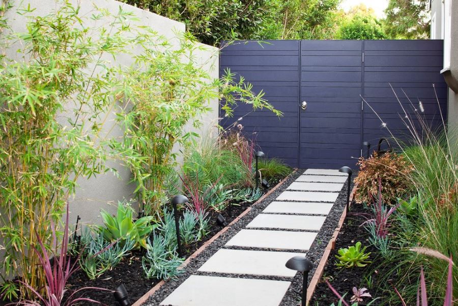 Clumping bamboo against a neutral wall