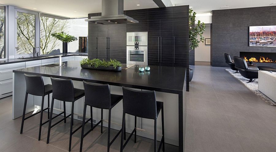 Dark shelves in the backdrop add sophistication to the sleek kitchen