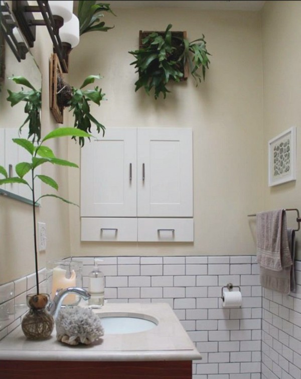 12 Creative Ways to Use Plants in the Bathroom Decoist