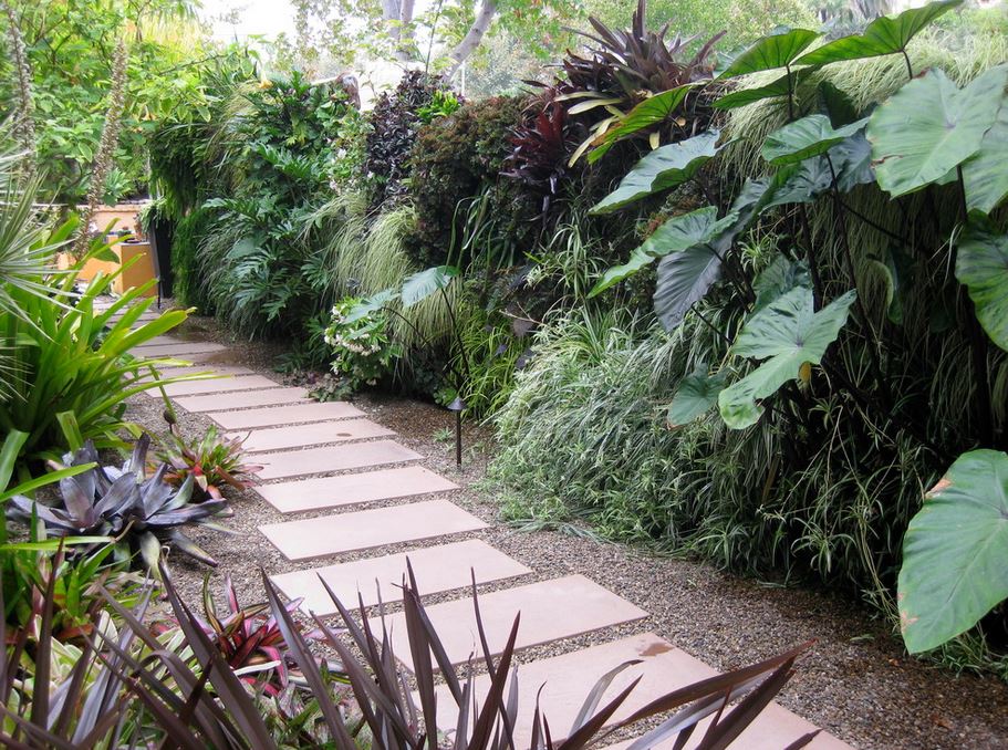 Green wall in a side yard