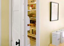 Refrigerator-Door-Made-of-Regular-Door-217x155