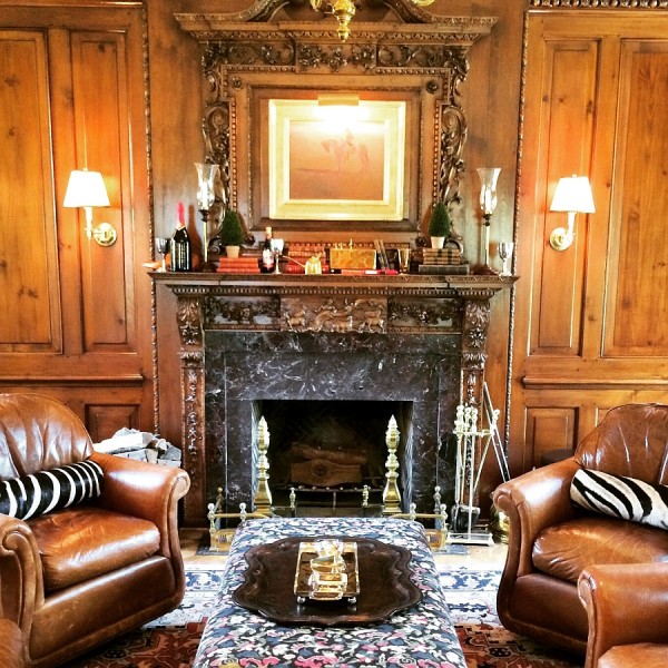 Stunning Cowhide, Zebra Rugs & Pillows from Forsyth