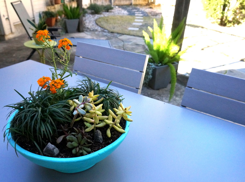 Turquoise planter on a modern outdoor table