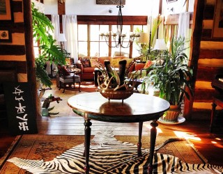 Striped Beauty: Stunning Zebra Rugs & Pillows from Forsyth