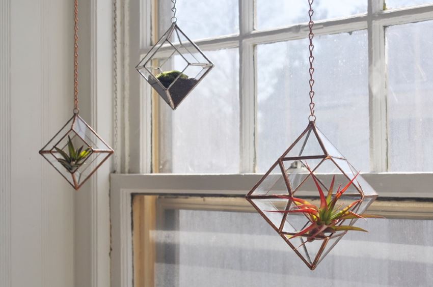 Air plant terrariums from Etsy shop ABJ Glassworks