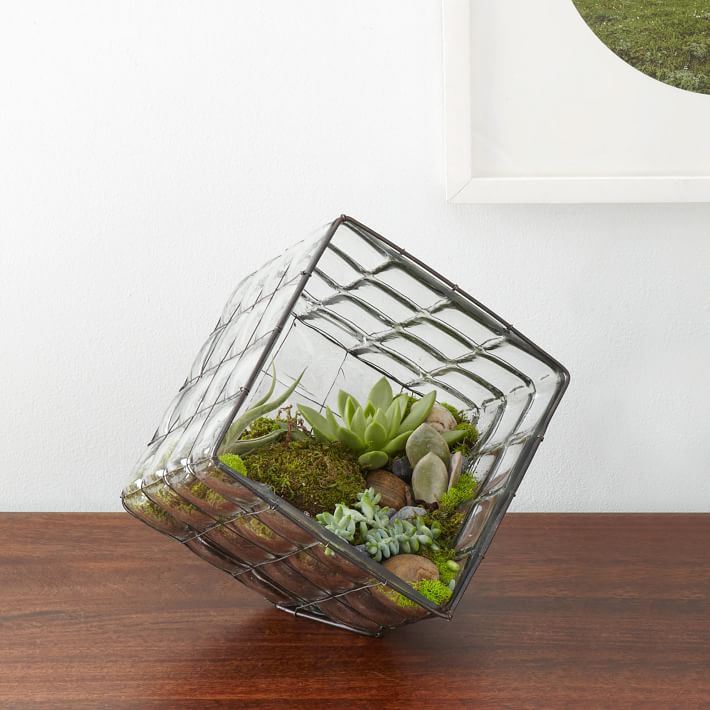 Blown glass terrarium from West Elm