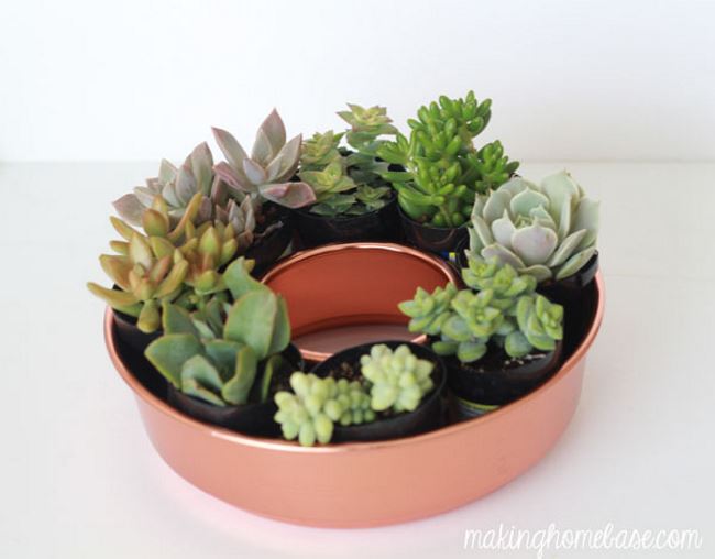 Bundt pan succulent planter