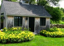 Daylilies-Outside-Cottage-217x155