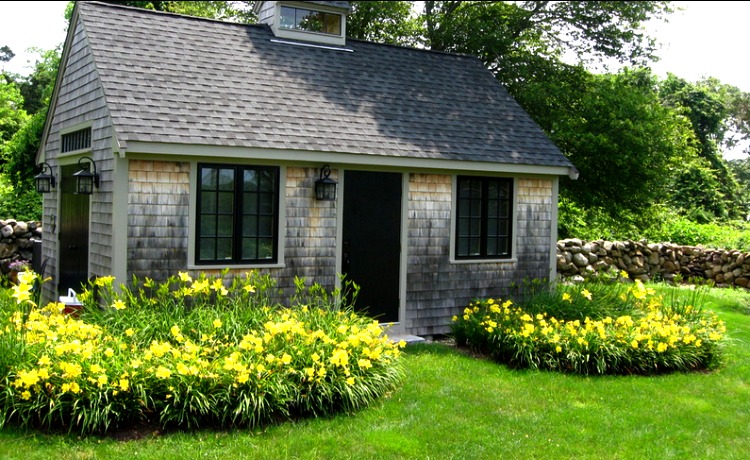 Daylilies Outside Cottage
