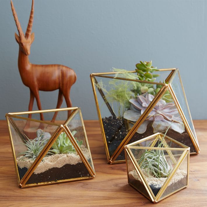 Faceted terrariums from West Elm