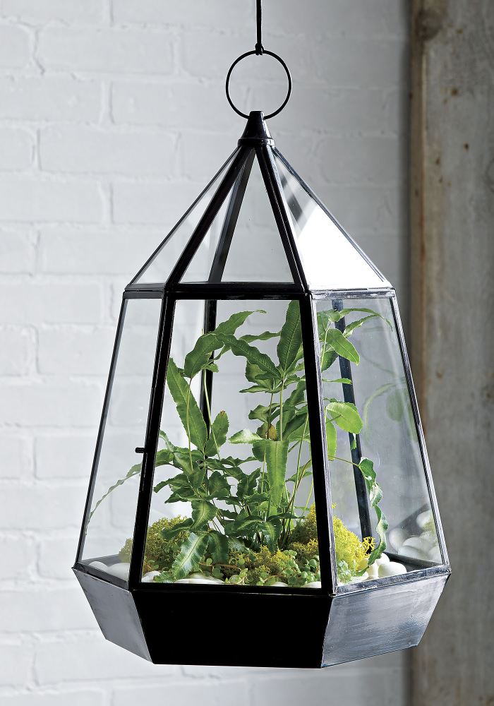 Glass terrarium from CB2