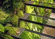 Living-Wall-and-Glass-Staircase-217x155
