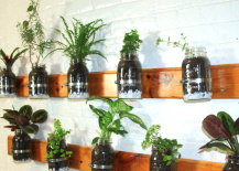 Mason-Jar-Herb-Garden-DIY-217x155