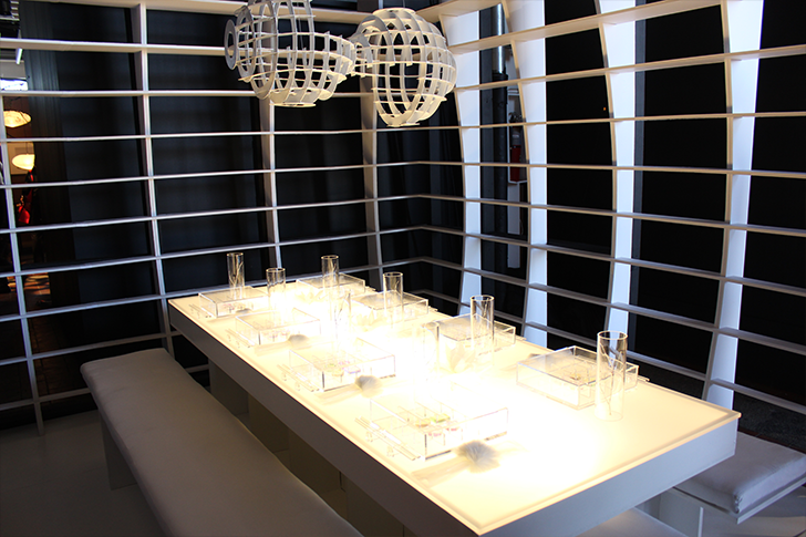 Minimalist White Modern Dining Table