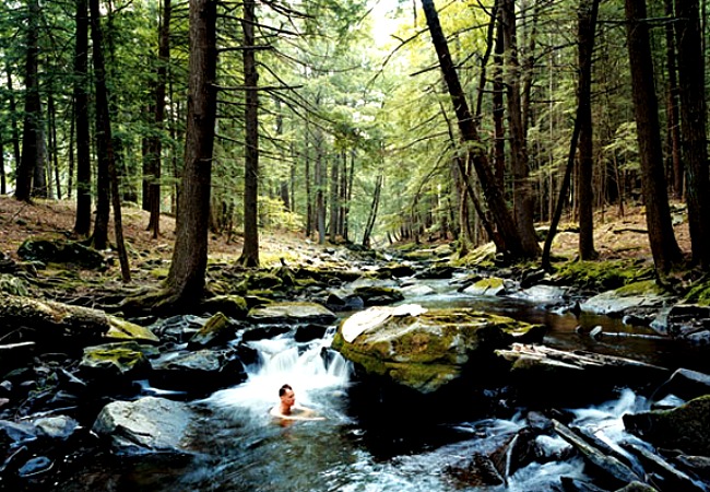 Newkirk Cabin Bath