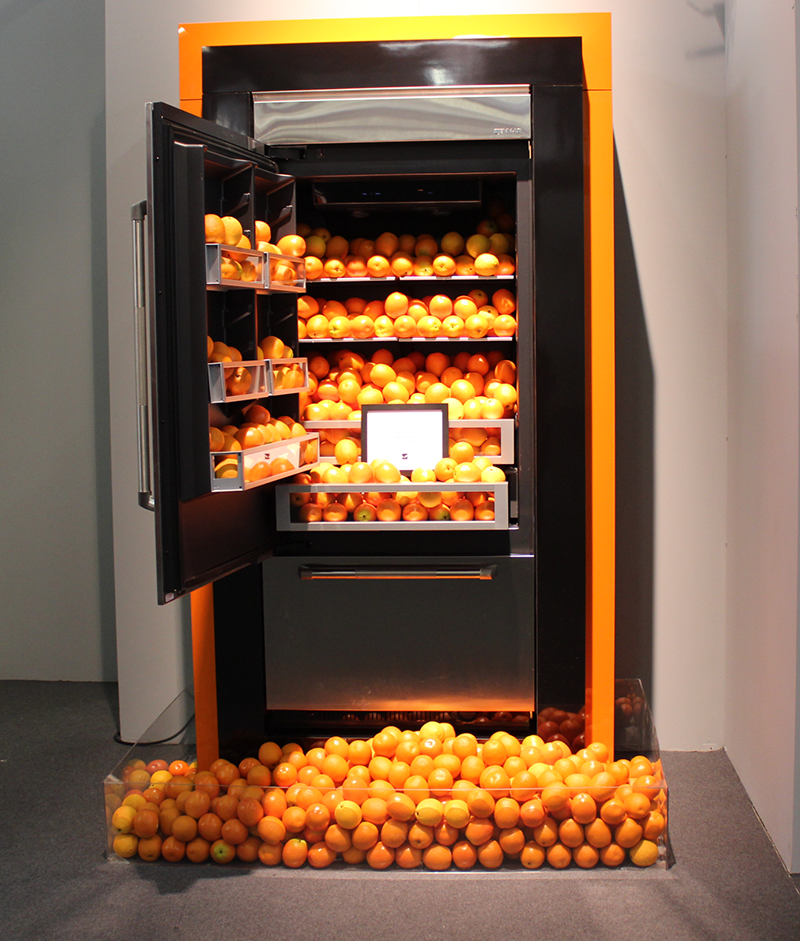 Orange Refrigerator Filled with Oranges
