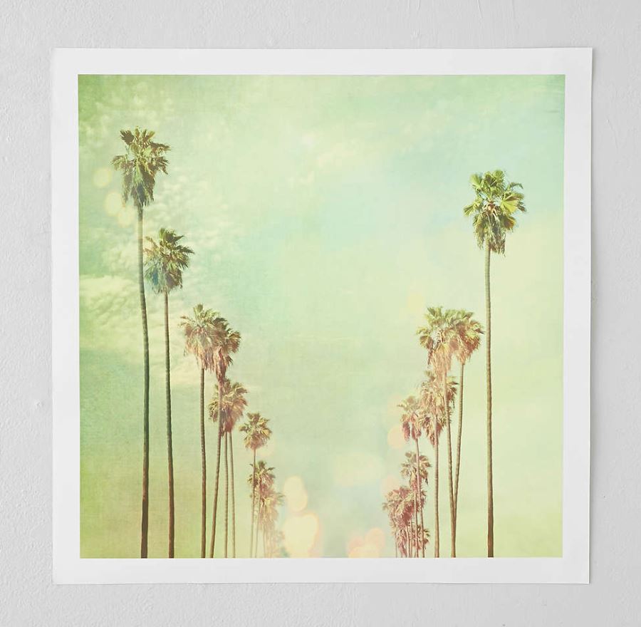 Palm tree art from Urban Outfitters