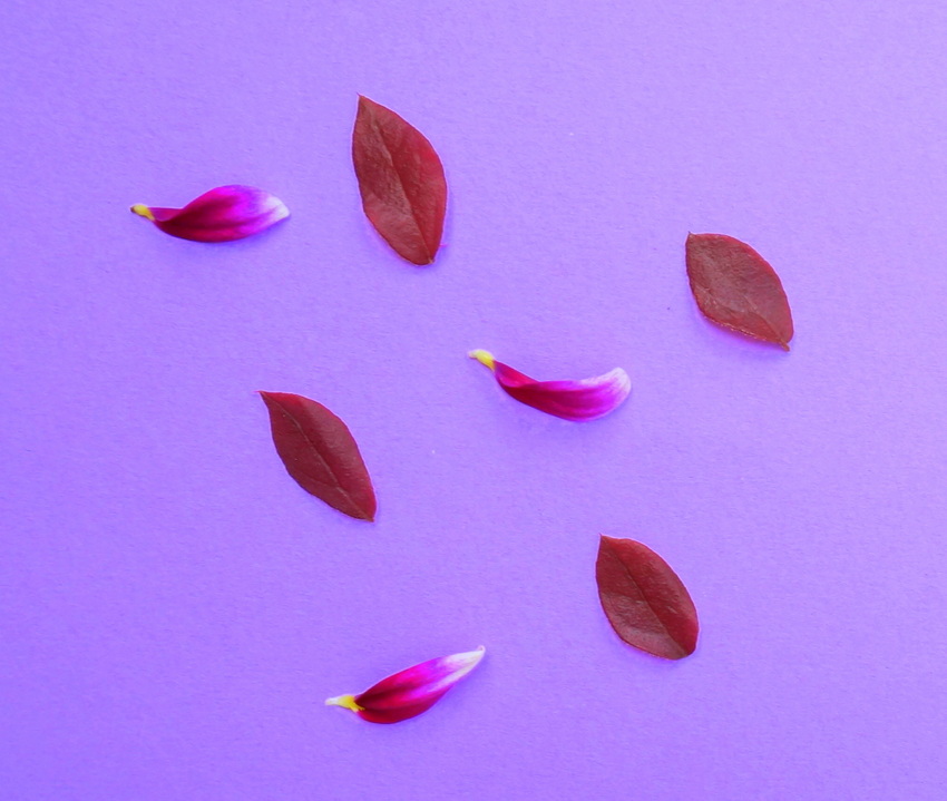 Petals and leaves