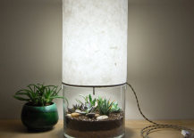 Plant-filled-Terrarium-Lamp-217x155