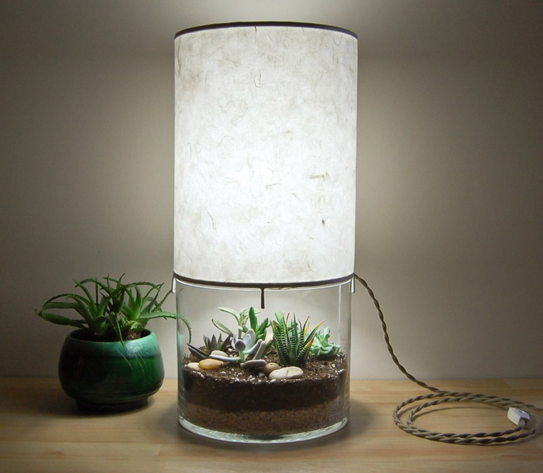 Plant-filled Terrarium Lamp