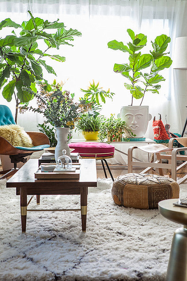 Plants take center stage in this light-filled space
