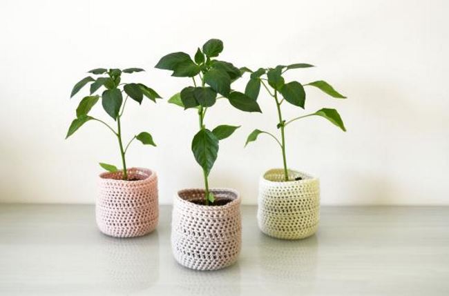 Plastic bottle planter with a crochet cosy