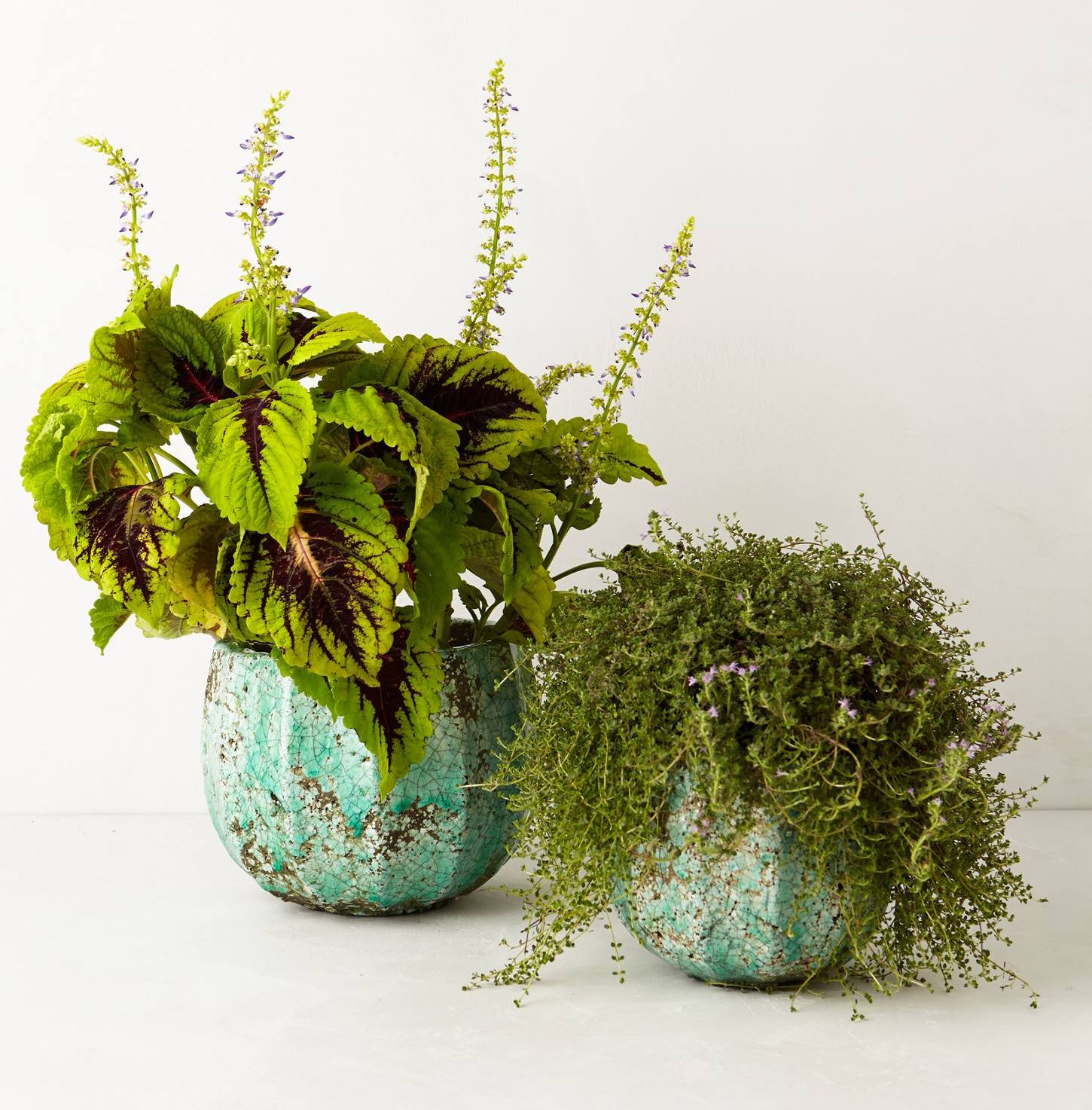 Turquoise garden pots from Anthropologie