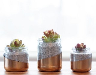 Upcycle Everyday Kitchen Items to Create Modern Planters