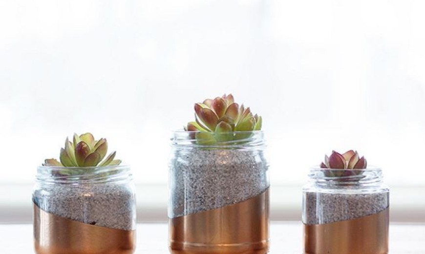 Upcycle Everyday Kitchen Items to Create Modern Planters