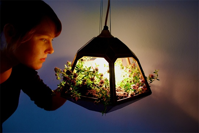 Vicky Pendant Lamp Filled with Plants