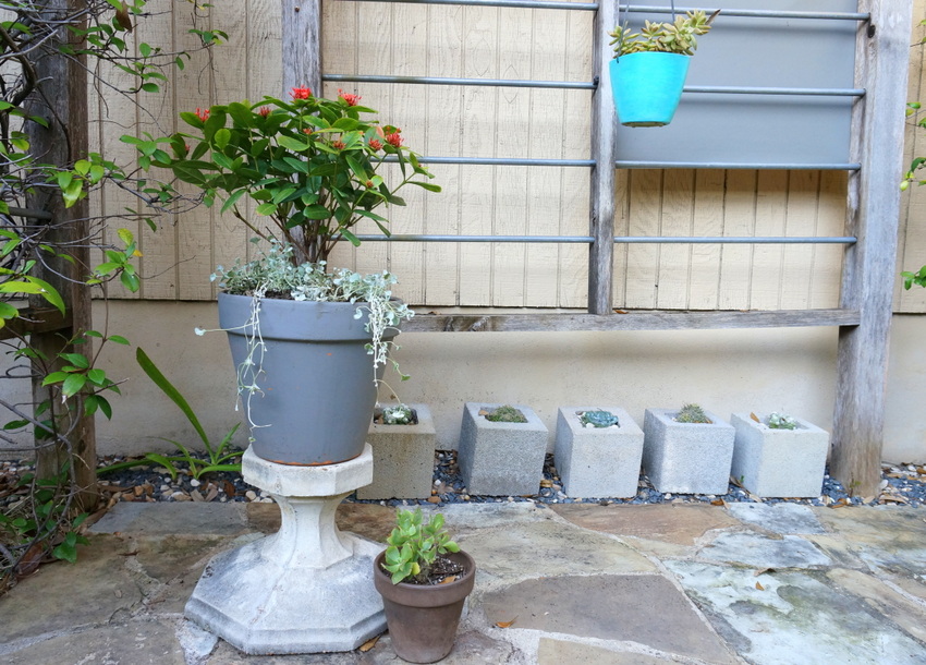 A plant-filled trellis area