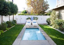 A-tiny-pool-in-the-small-urban-backyard-is-all-you-need-to-beat-the-summer-heat-217x155