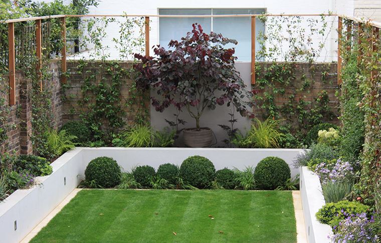 Assortment of lush plants in a modern manicured yard