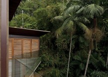 Balcony-around-the-house-overlooking-the-canopy-217x155
