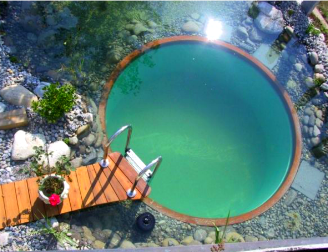 Circular Natural Pool