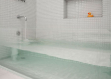 Clear-Bathtub-217x155