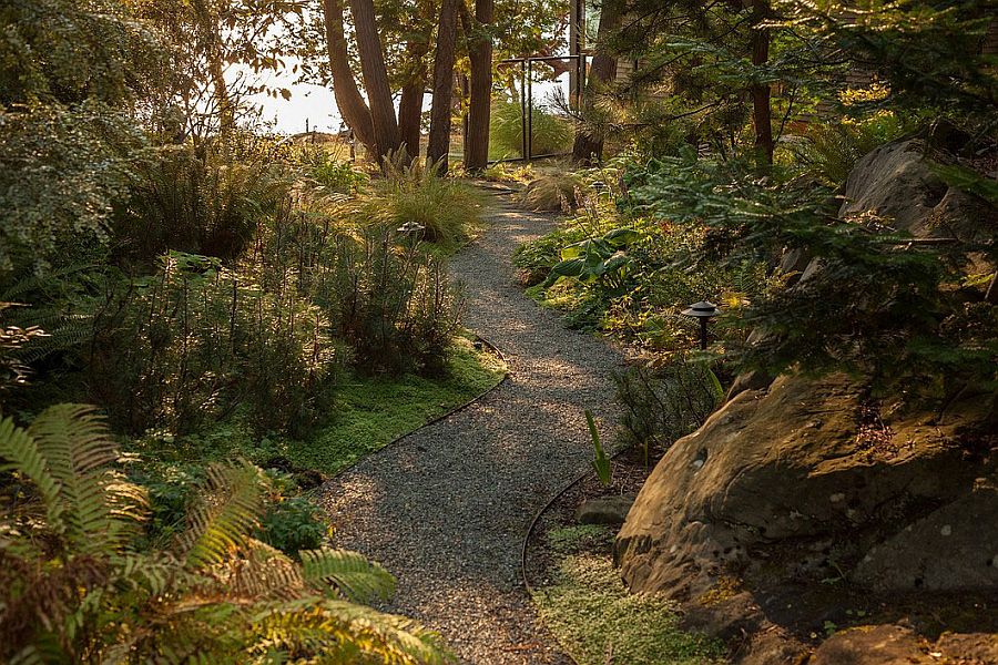 Curated walkway through the natural canopy around the Saturna Island Retreat