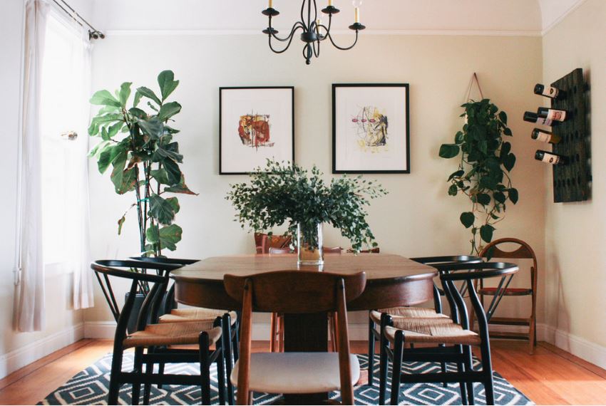 Dining room with plants and a patterned rug