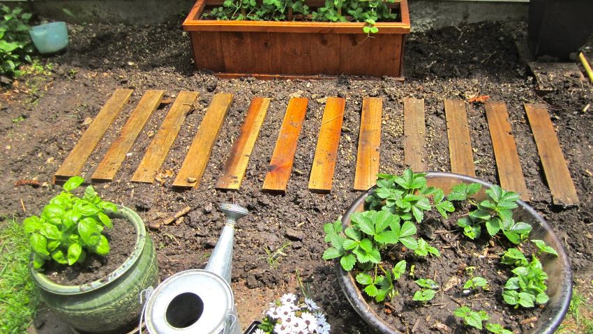 Easy garden path with pallet wood