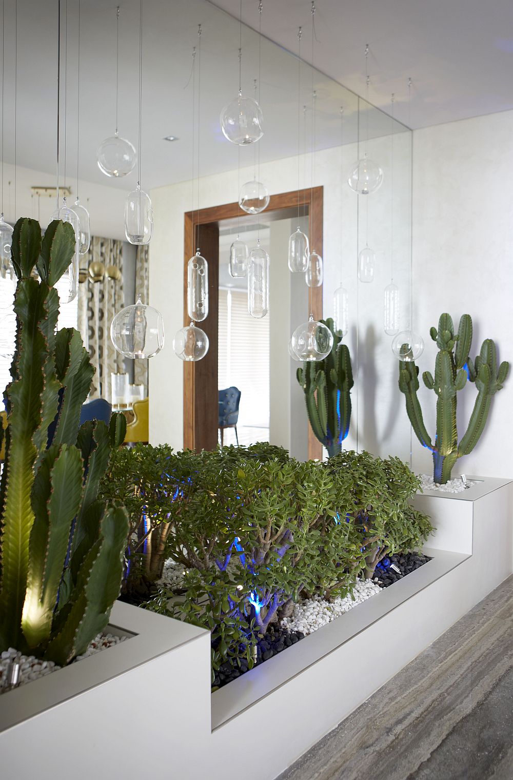 Hangining terrariums and an indoor garden inside the luxurious villa