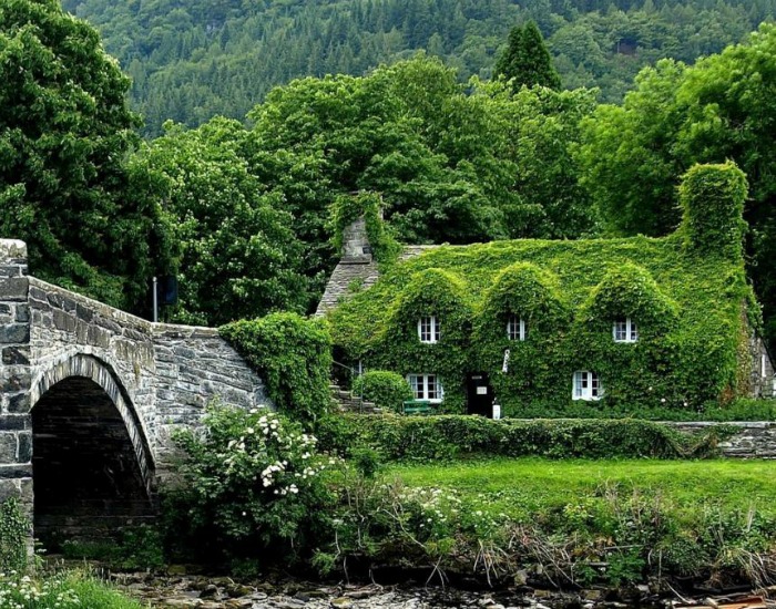 It would take decades for ivy to cover a stone cottage like this