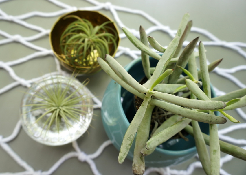 Macrame table runner styling