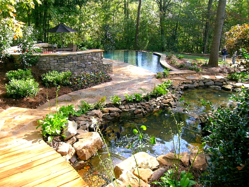 Natural Landscape Pool