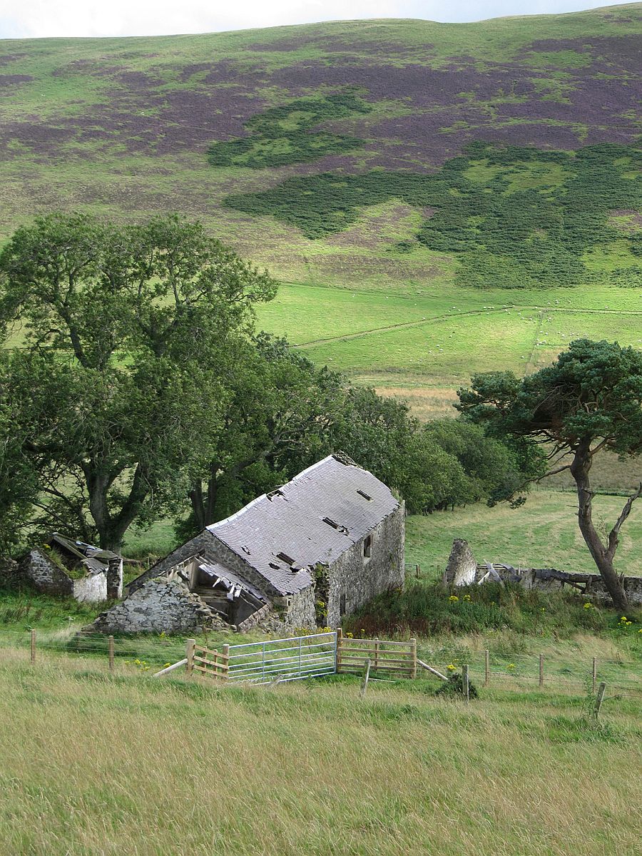 Natural landscape around the Mill Home overlooking the Scottish border