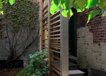 Plants-at-the-base-of-a-modern-trellis-217x155