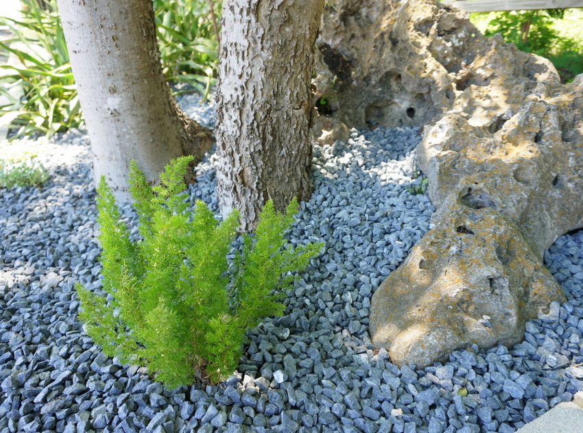 Rock garden landscaping